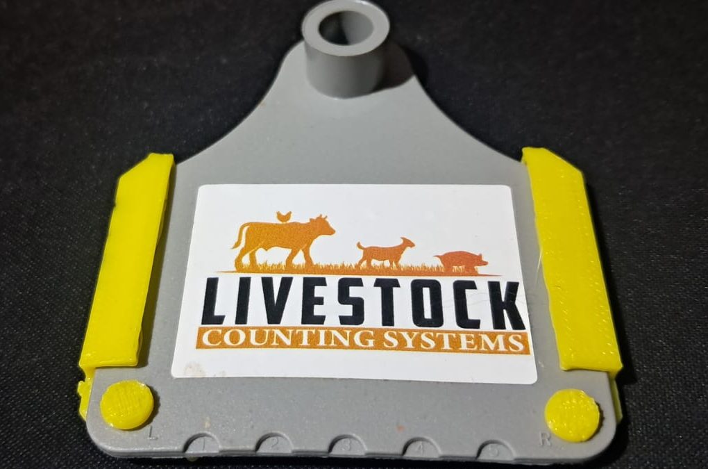 🐄 Livestock Counting Systems South Africa: Where Smart Farming Begins