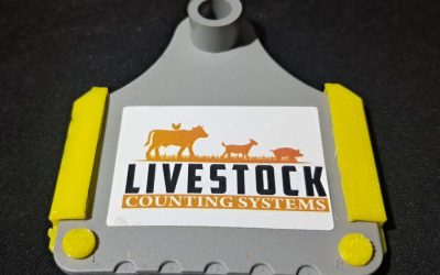 🐄 Livestock Counting Systems South Africa: Where Smart Farming Begins