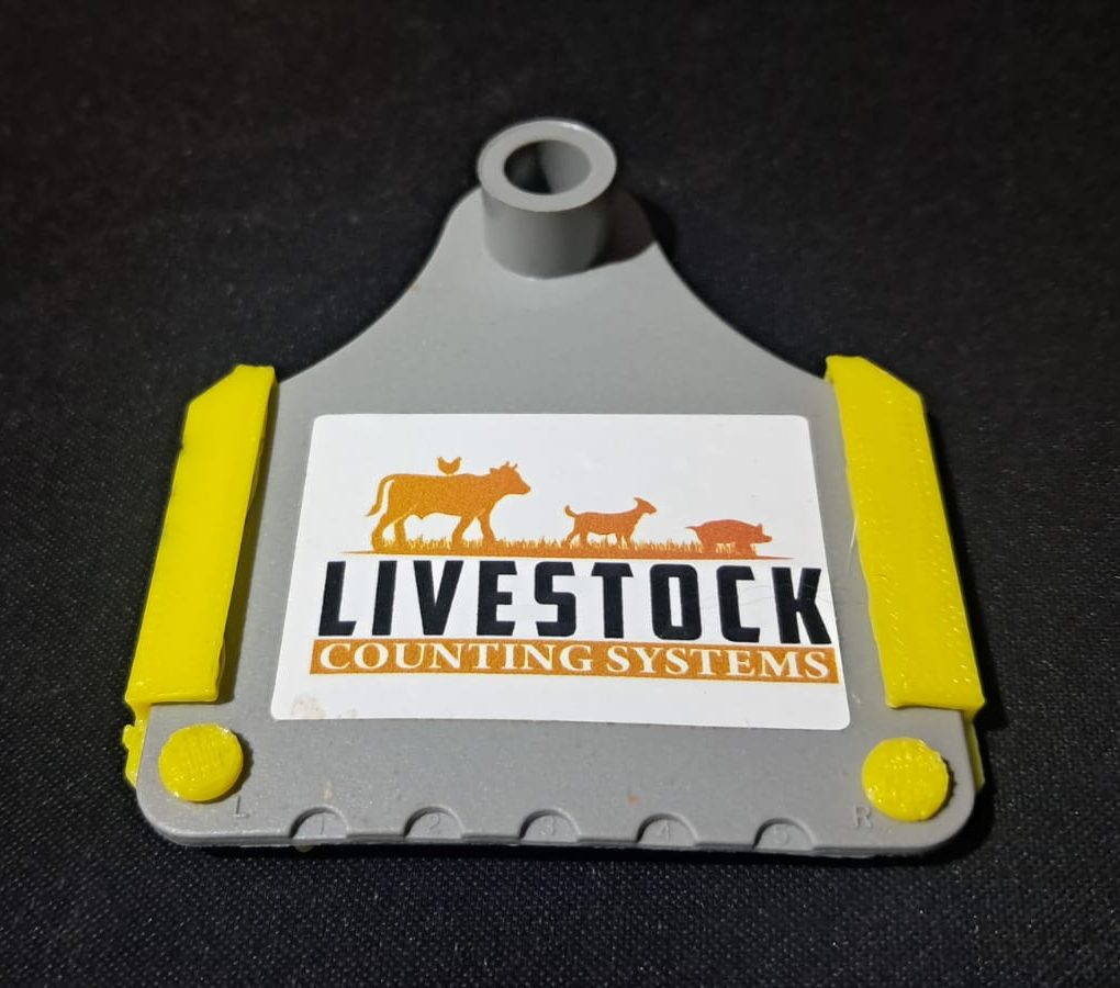 LCS ear tag attached to a cow for livestock identification
