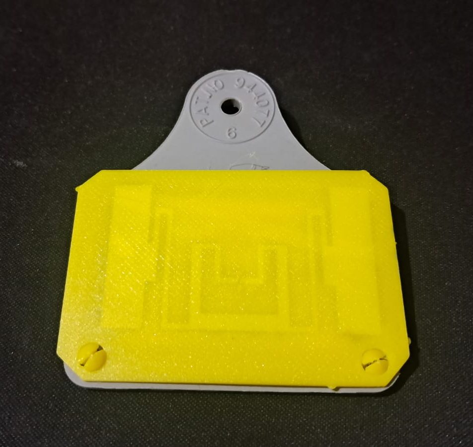 LCS ear tag attached to a cow for livestock identification